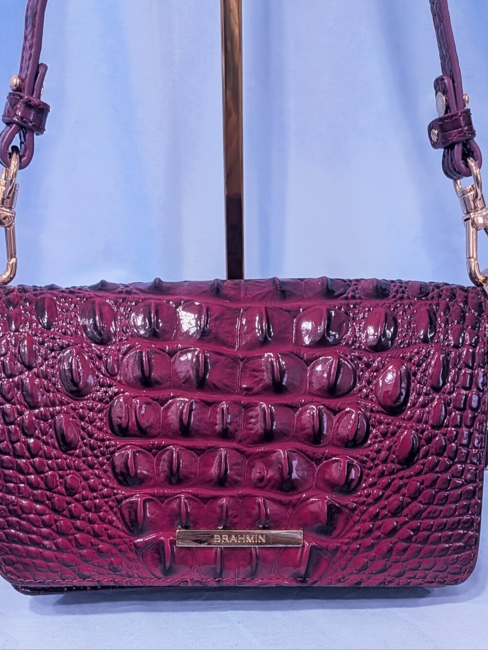 🔷 VEUC Brahmin Minuette in Sugar Plum